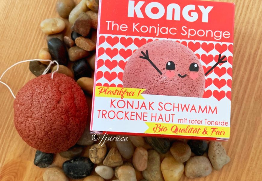 Kongy, der Konjak Schwamm
